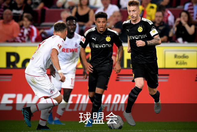 球盟会公司简介